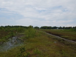 20160618 154520