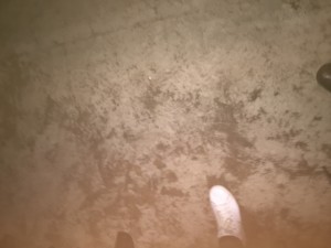 IMG 2258